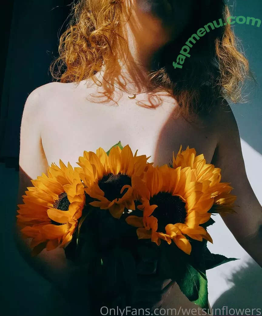 wetsunflowers nude photo #0001 (wetsunflowers)