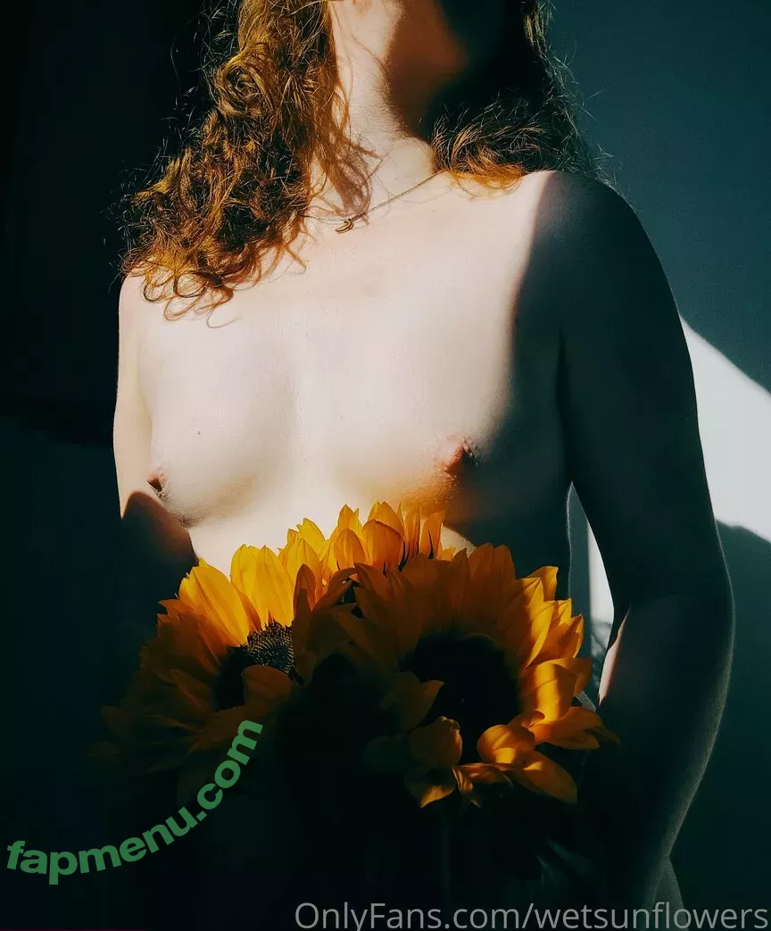 wetsunflowers nude photo #0002 (wetsunflowers)