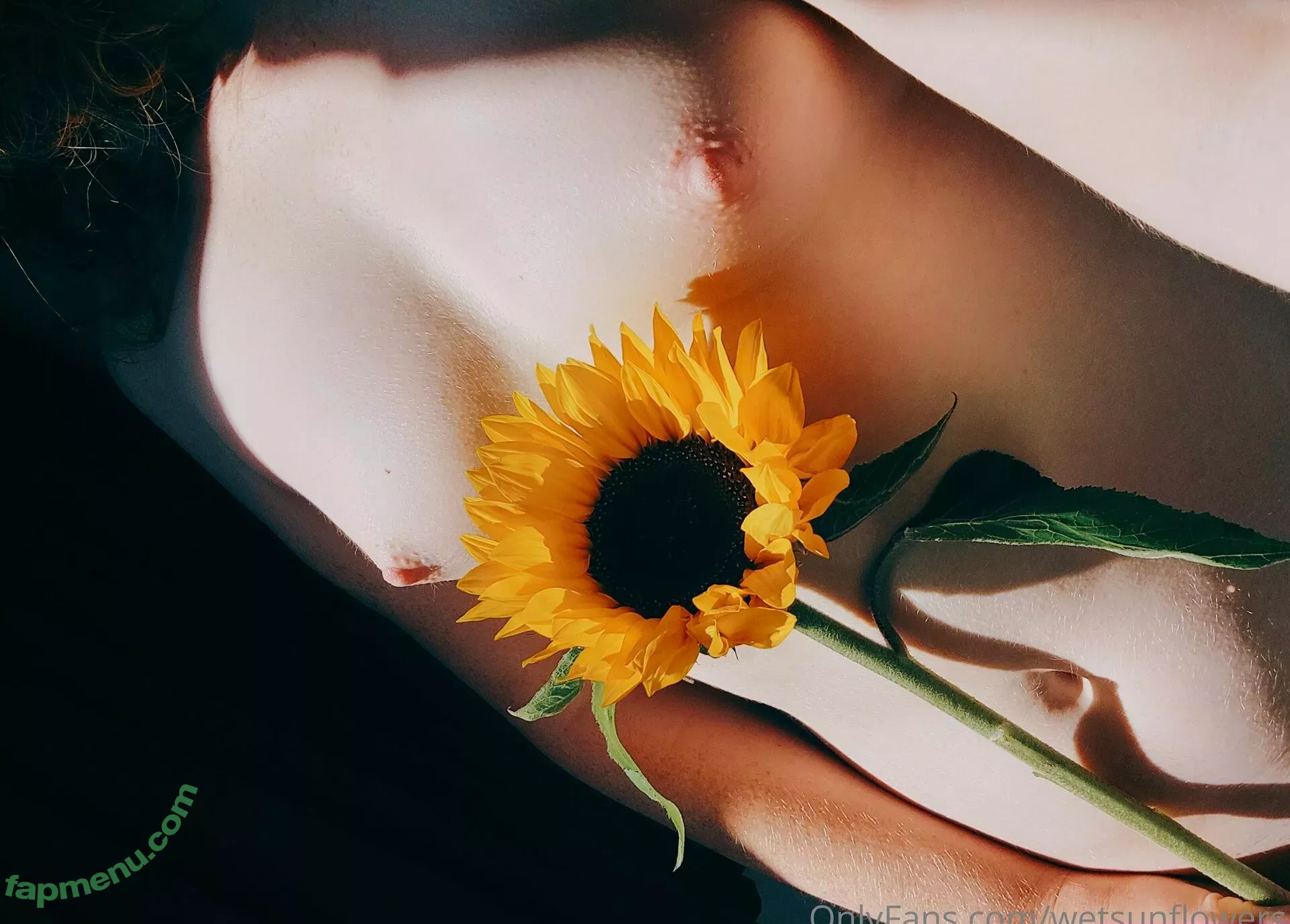 wetsunflowers nude photo #0003 (wetsunflowers)