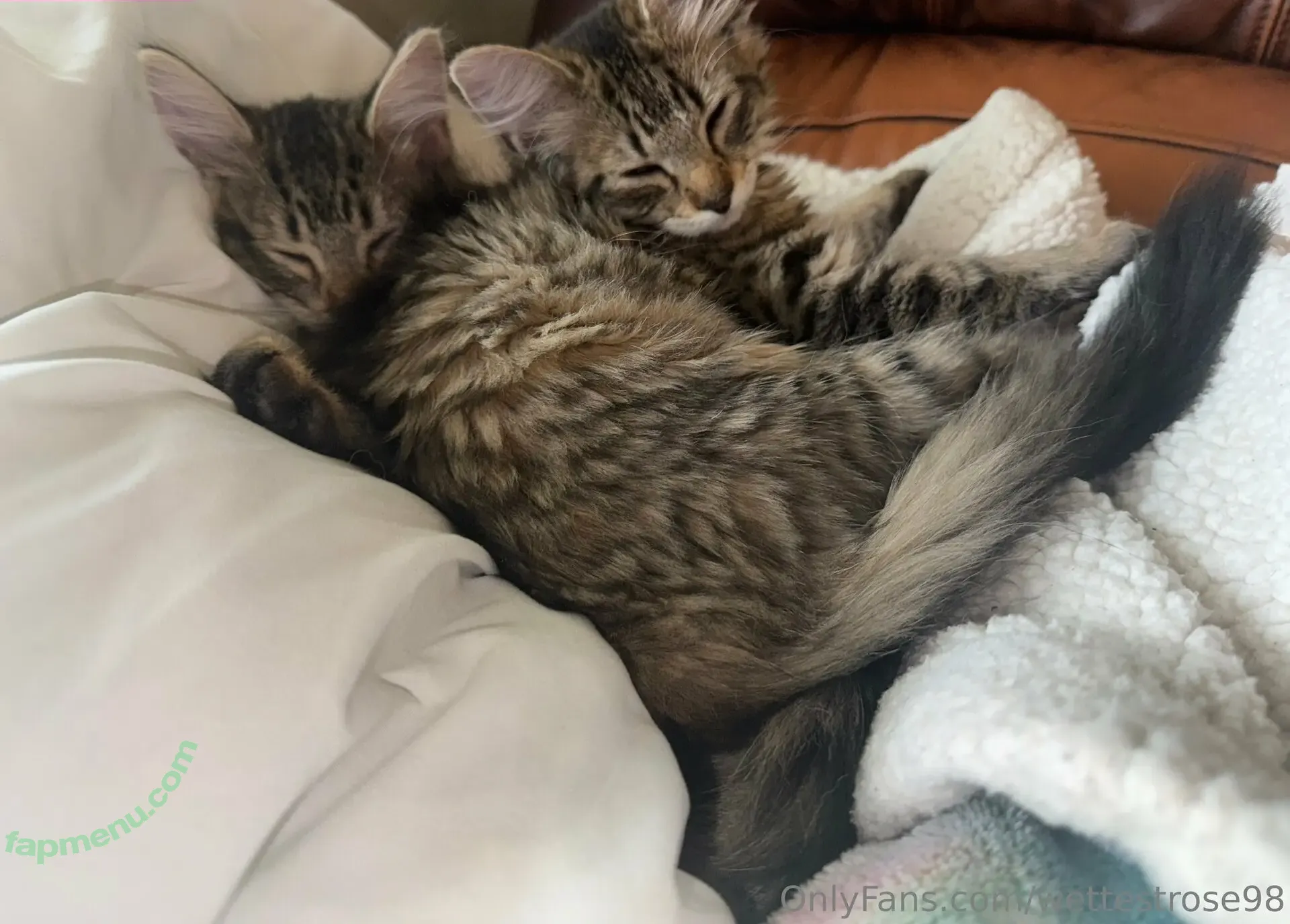 wettestrose98 nude photo #0004 (wettestrose98)