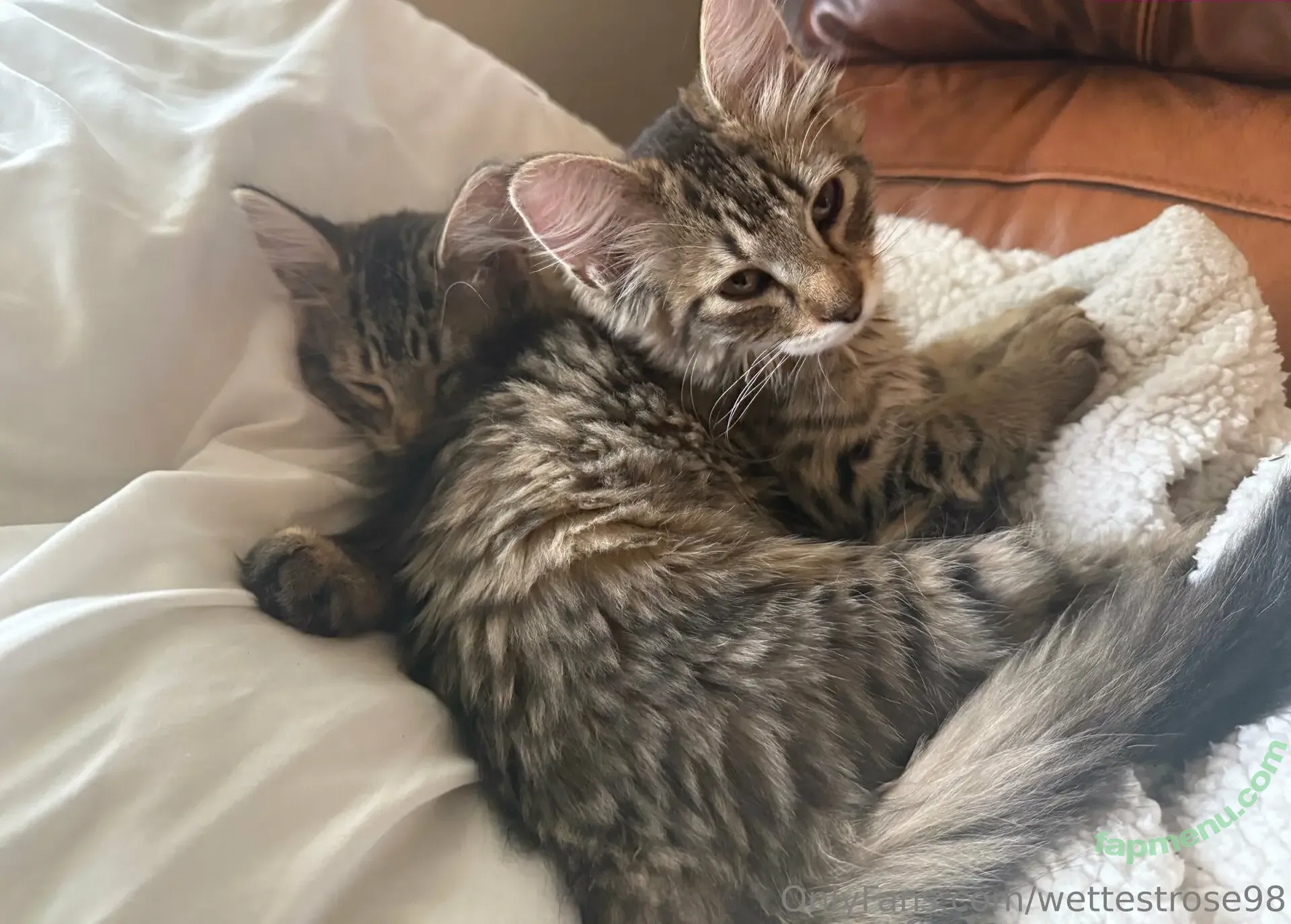 wettestrose98 nude photo #0005 (wettestrose98)