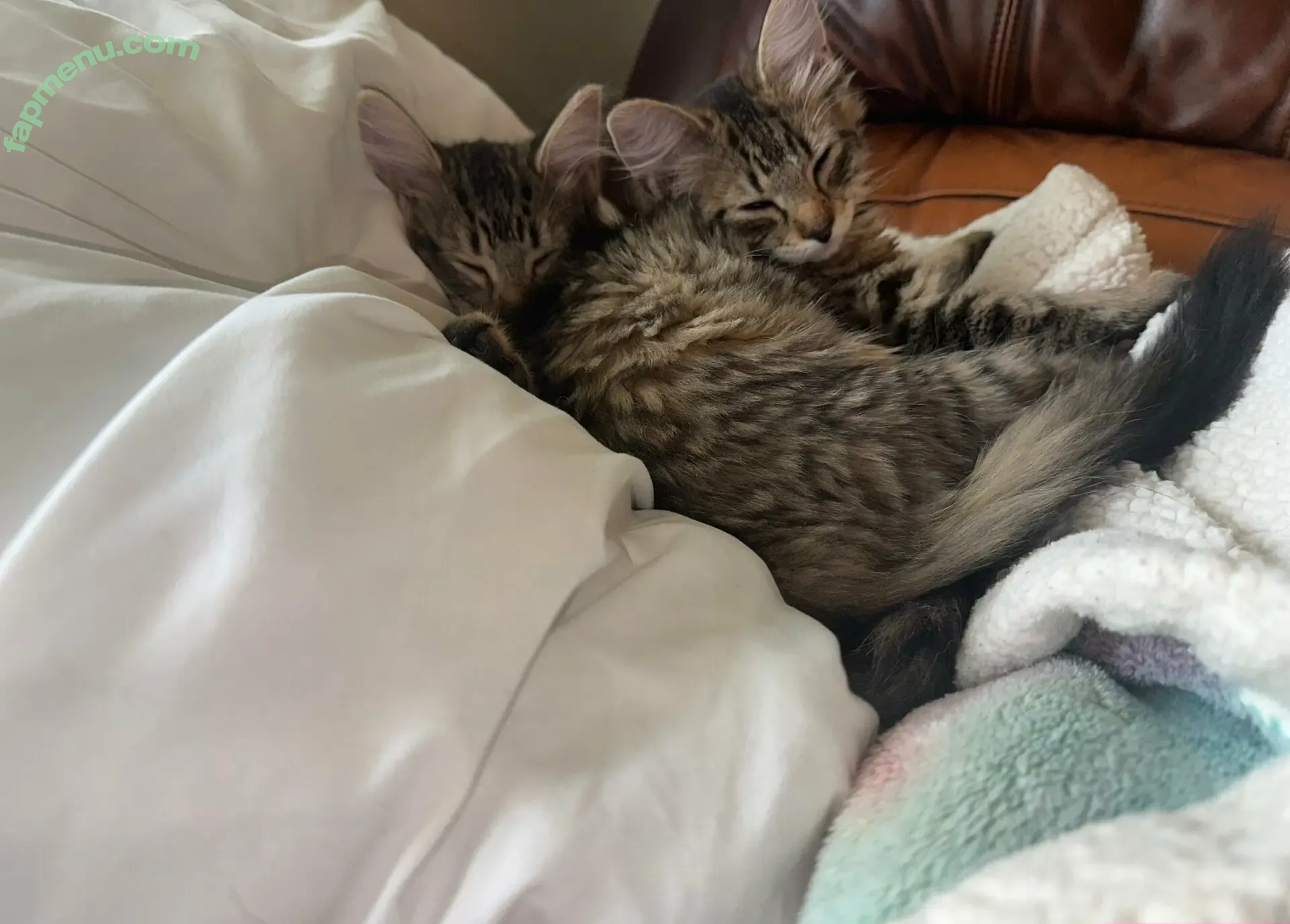 wettestrose98 nude photo #0006 (wettestrose98)