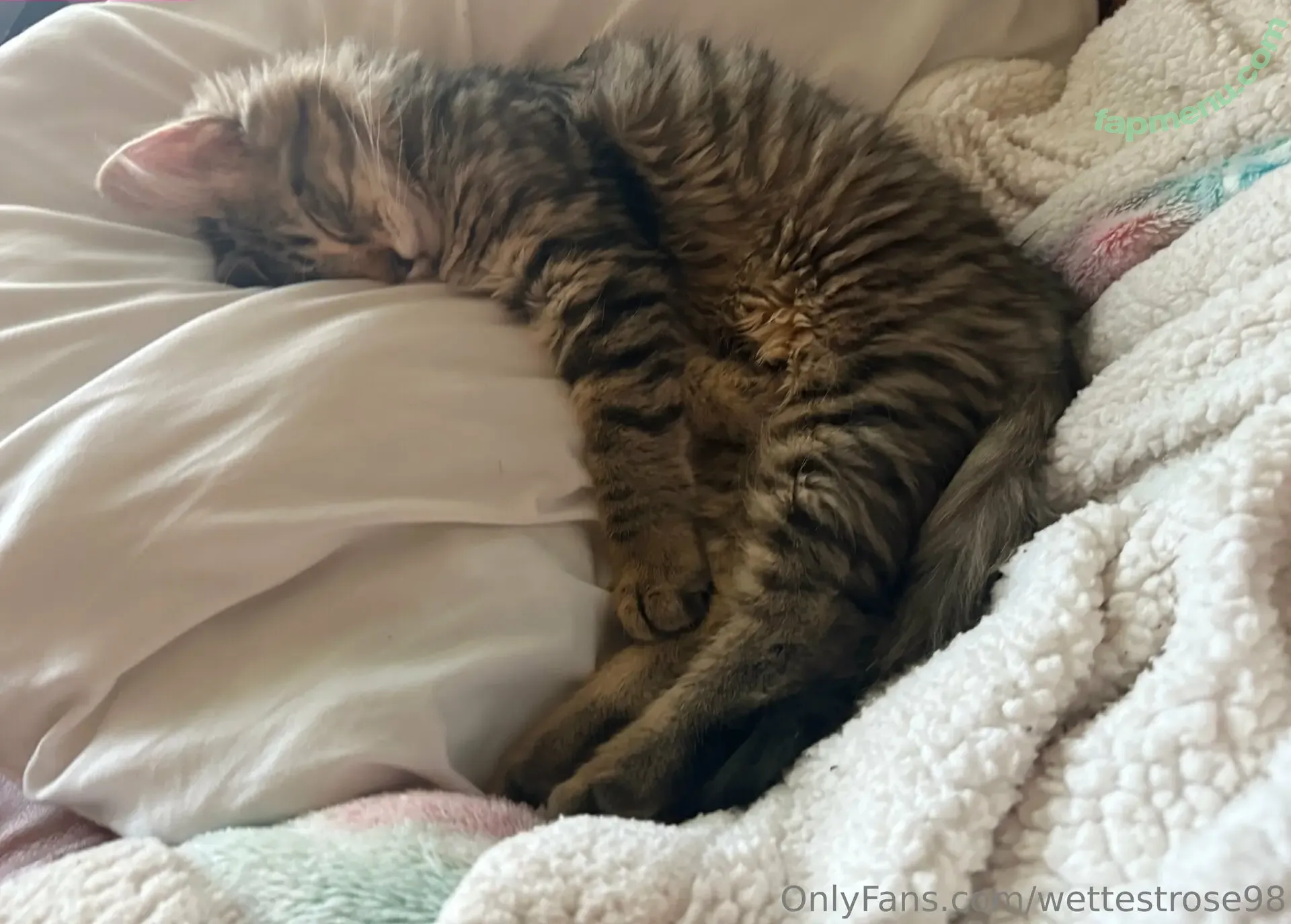 wettestrose98 nude photo #0007 (wettestrose98)