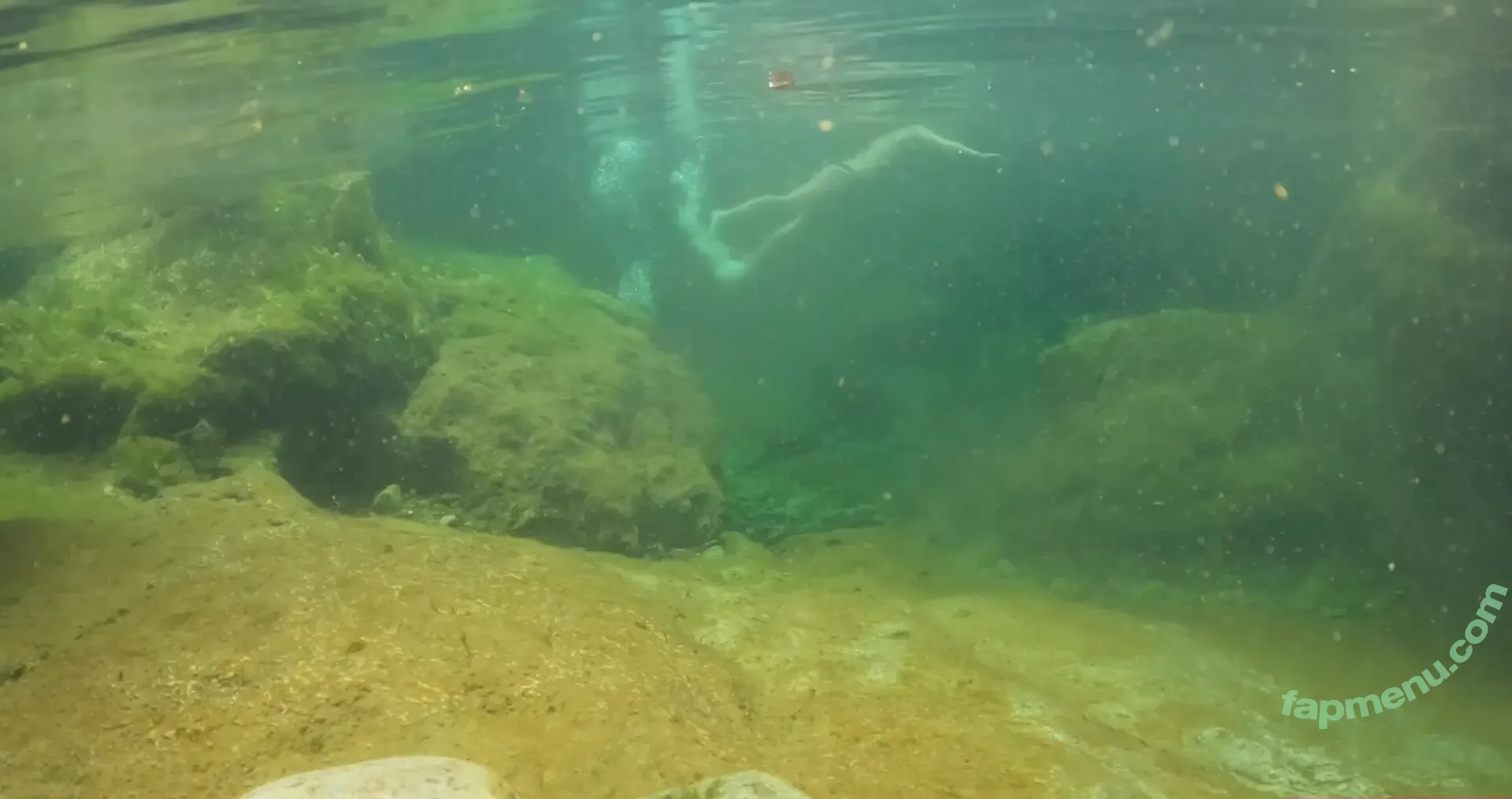 WildBeare nude photo #0005 (WildBeare)