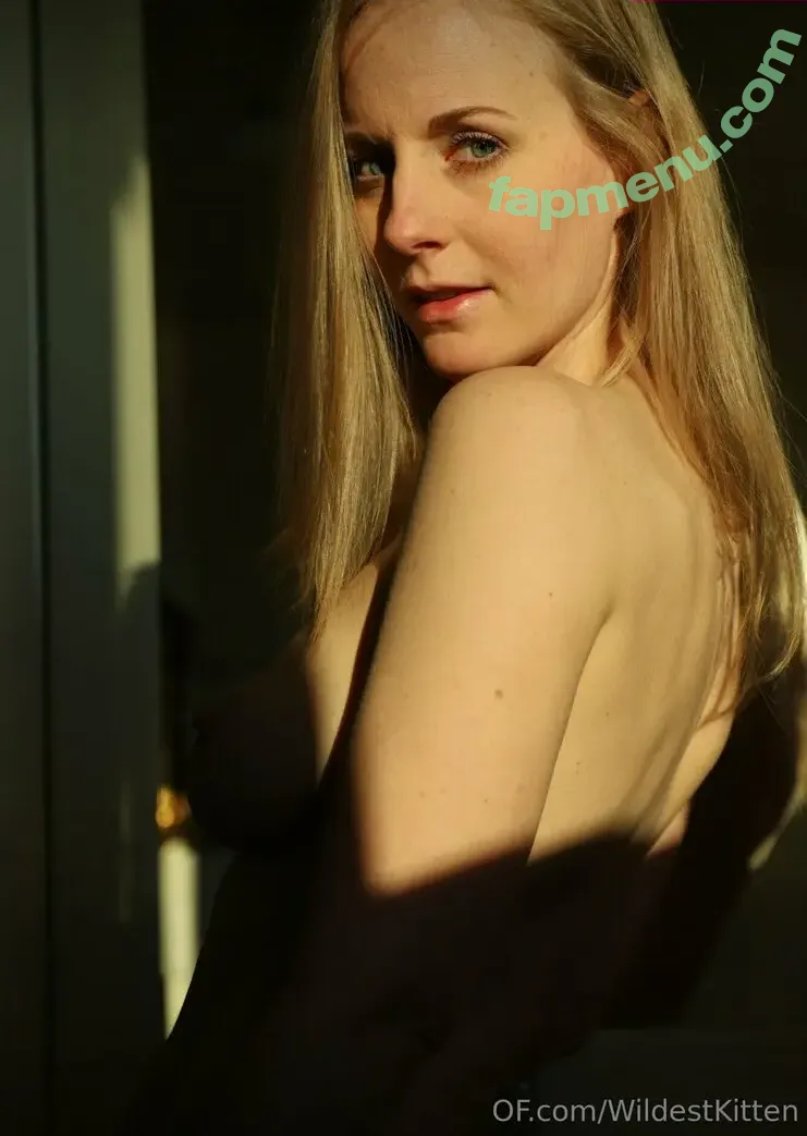 wildestkittenfree nude photo #0003 (wildestkitten)