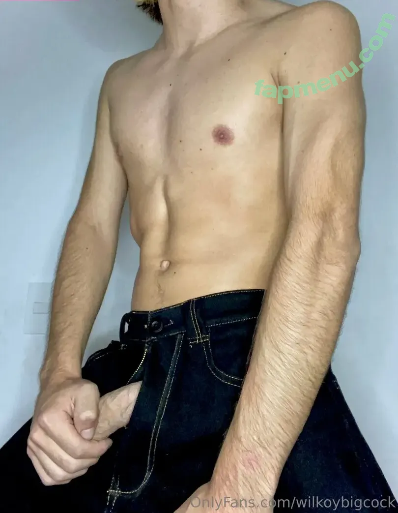 wilkoybigcock nude photo #0004 (wilkoybigcock)