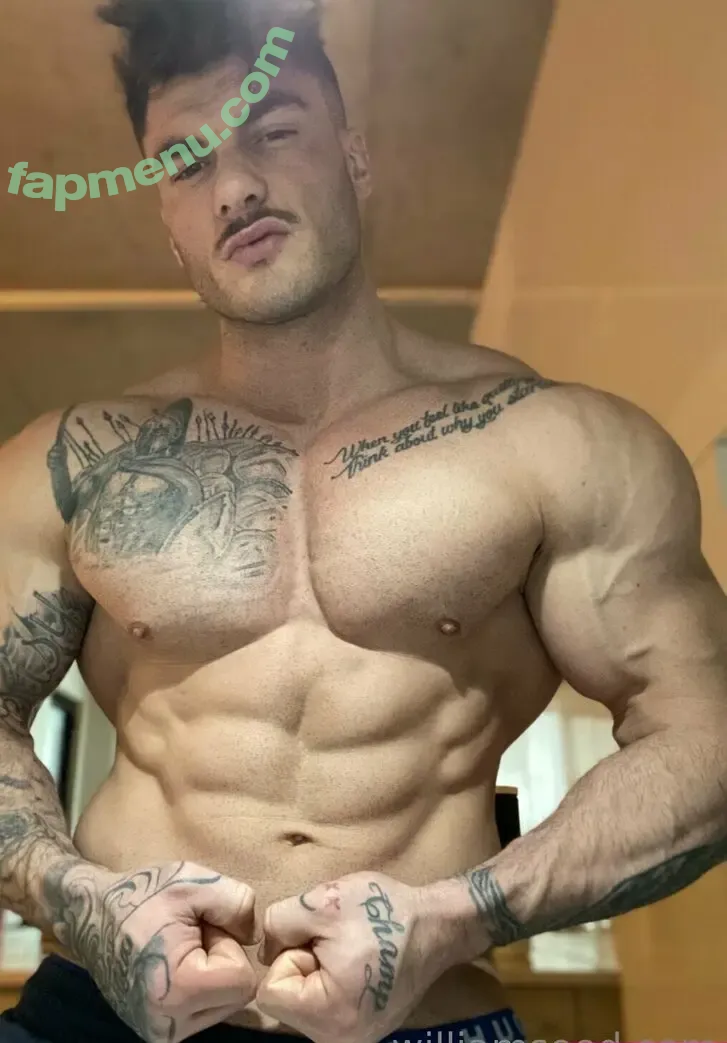 william_seedxxx nude photo #0022 (williamseedreal)