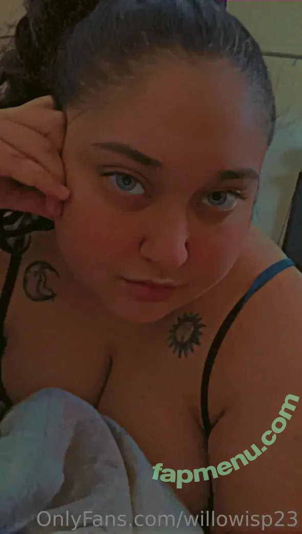 willowisp23 nude photo #0004 (willo_wisp_)