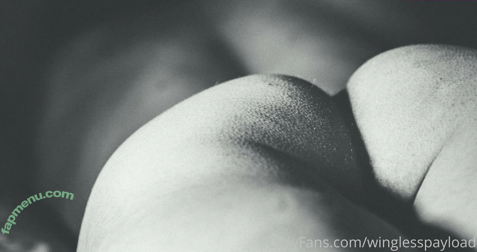 winglesspayload nude photo #0006 (winglesspayload)