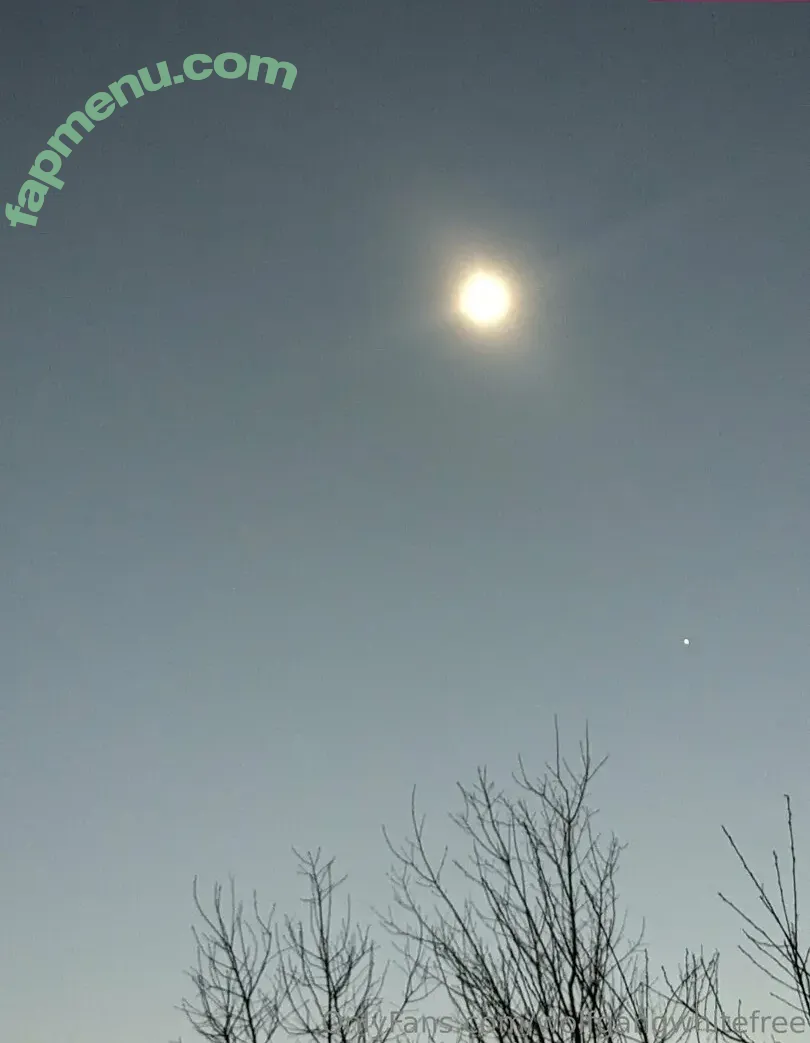 wolfgangwhitefree nude photo #0001 (wolfgang_white)