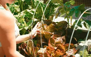 wolfofthewild / wolfofthewildd nude photo #0093