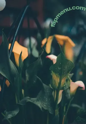 wolfofthewild / wolfofthewildd nude photo #0100