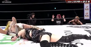 WomenJoshi / Puroresu nude photo #8128