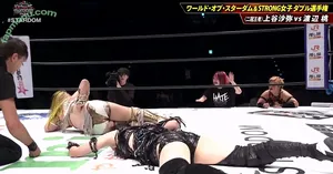 WomenJoshi / Puroresu nude photo #8131