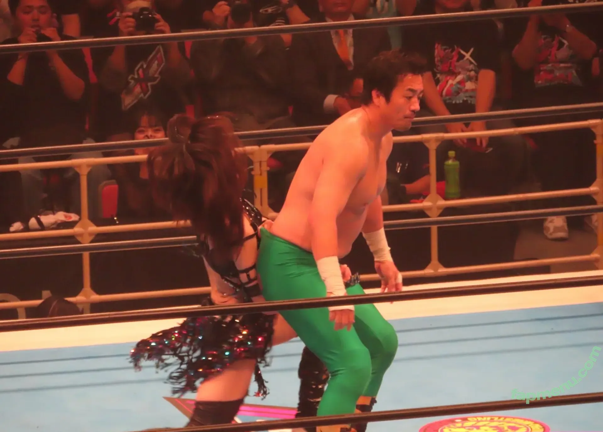 WomenJoshi nude photo #8240 (Puroresu)