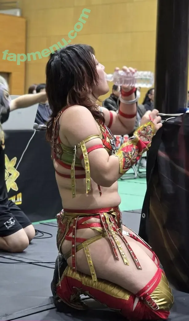 WomenJoshi nude photo #8563 (Puroresu)