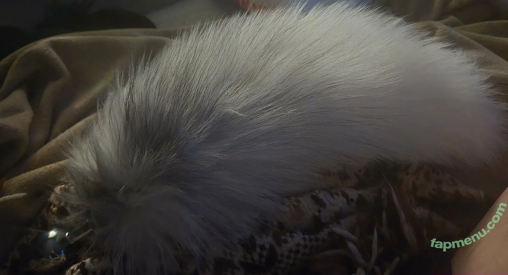 woofwoofbimbo nude photo #0016 (woofwoofbimbo)