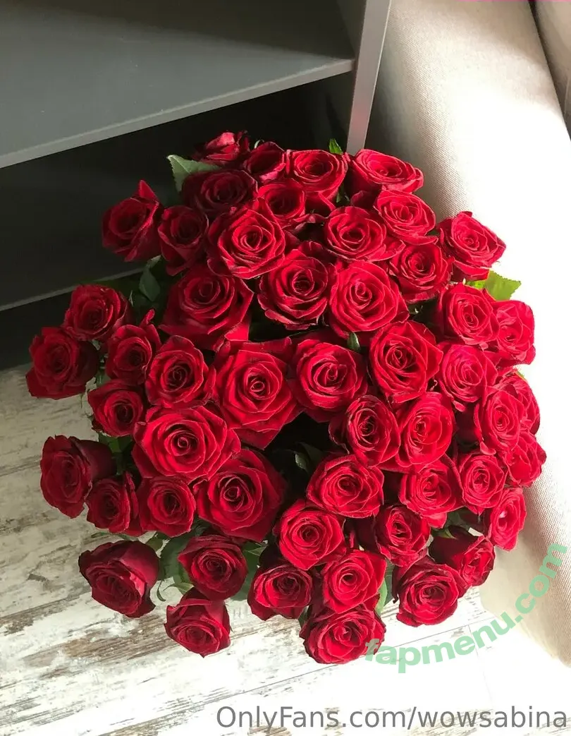 wowsabina nude photo #0038 (wowsabina)