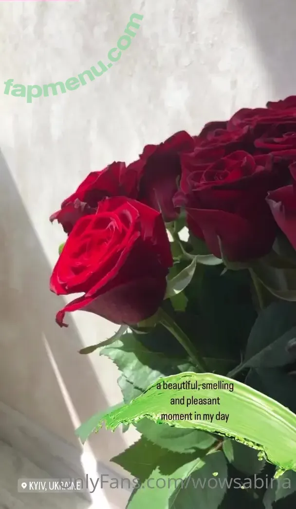 wowsabina nude photo #0041 (wowsabina)