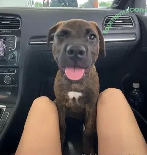 wubbvivi / vogue_bivi nude photo #0068