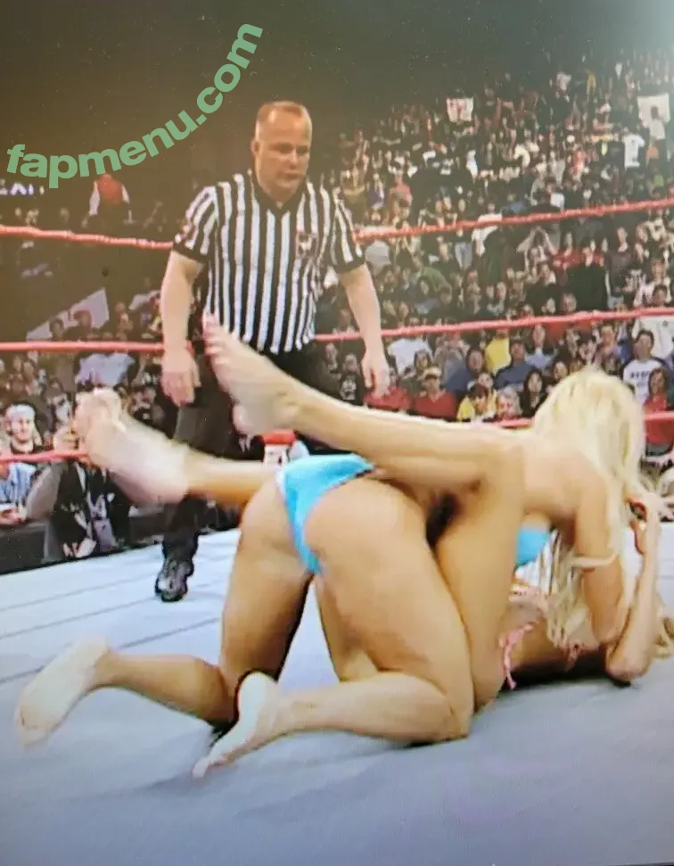 WWE Torrie Wilson nude photo #0118 (torriewilson)
