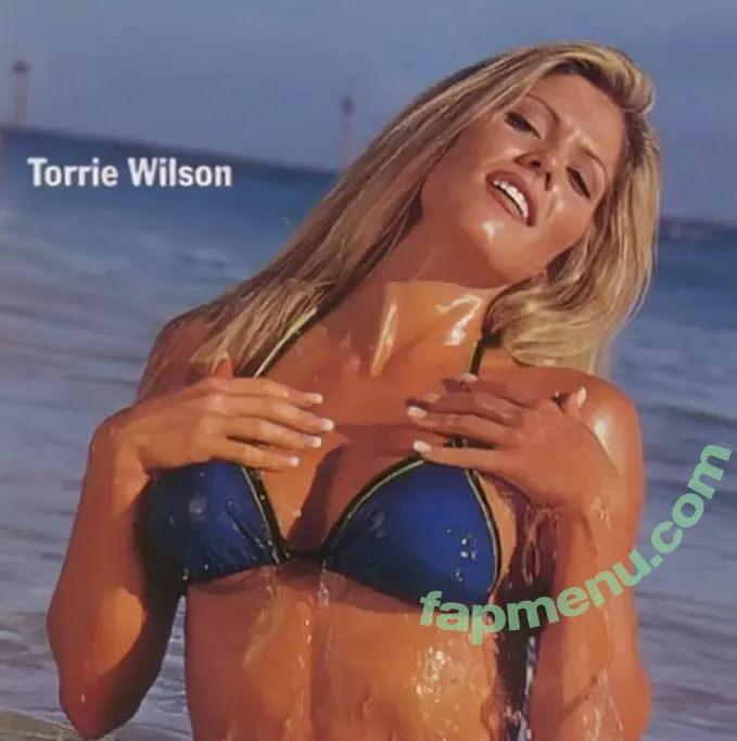 WWE Torrie Wilson nude photo #0132 (torriewilson)