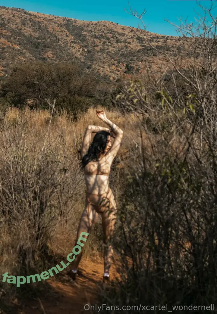 xcartel_wondernell nude photo #0001 (xcartel_wondernell)
