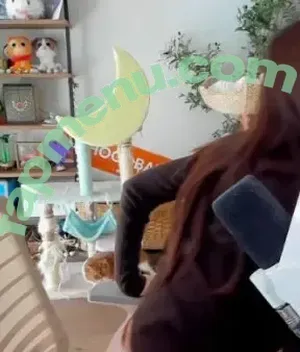 xChocobars / Janetrose / janetrosee nude photo #0798