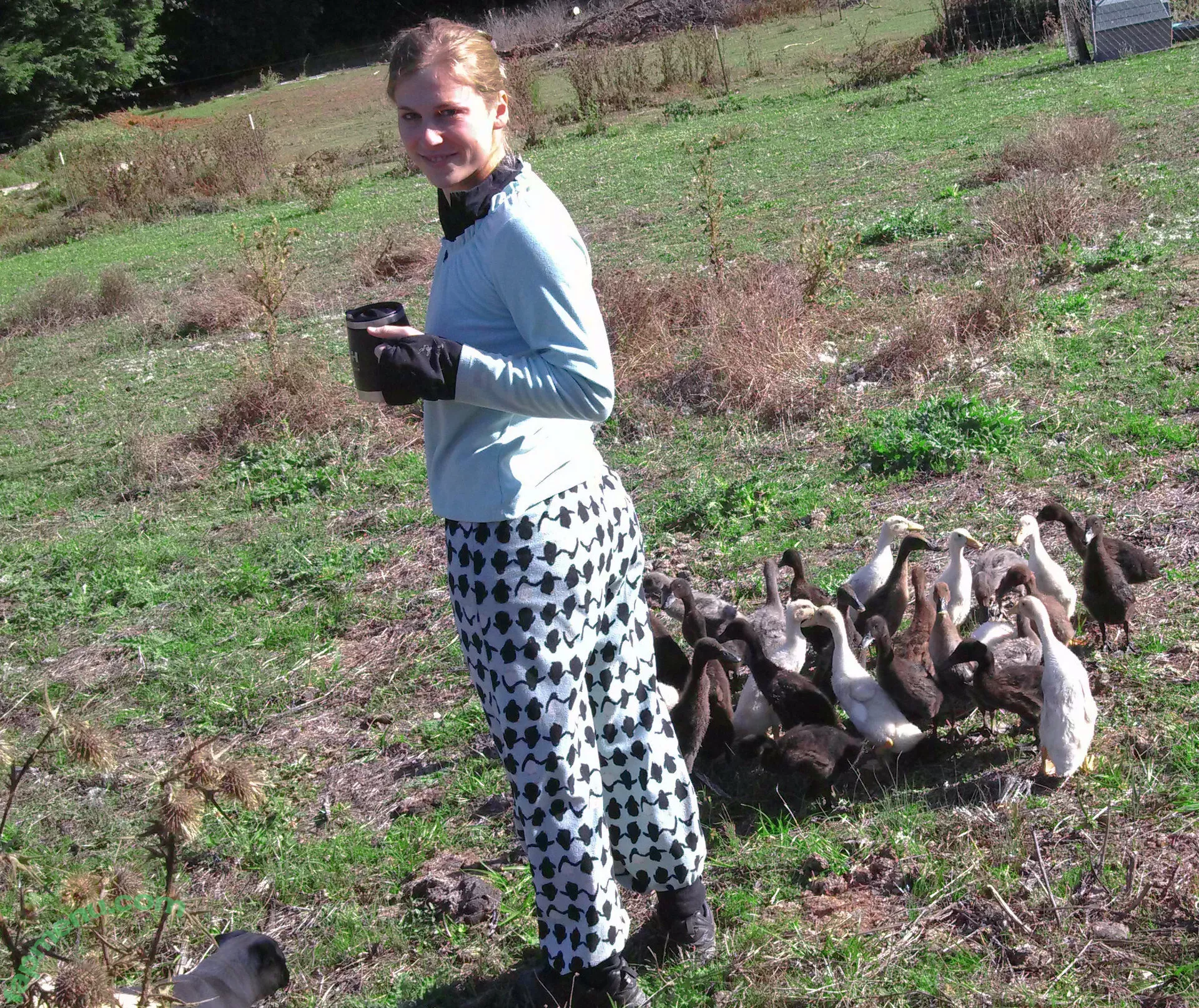 xevbellringer69 nude photo #0005 (xev_bellringer_official)