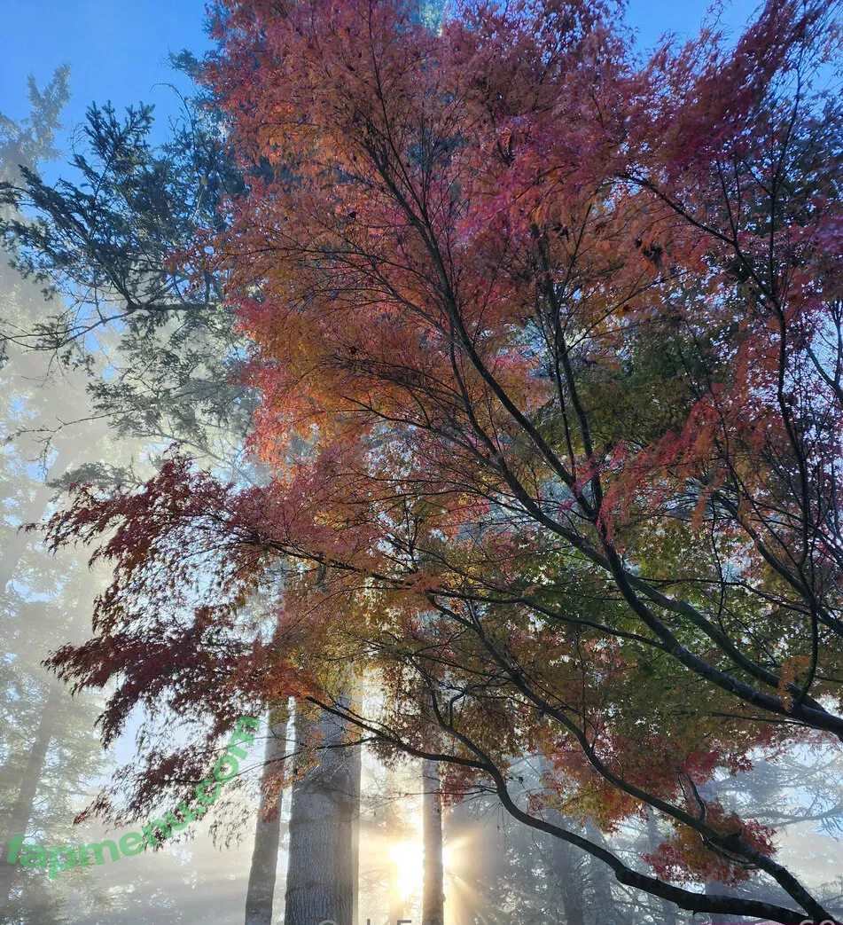 xevbellringer69 nude photo #0163 (xev_bellringer_official)