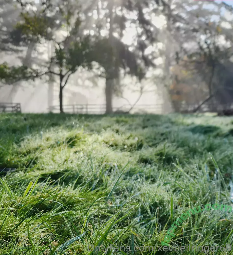 xevbellringer69 nude photo #0164 (xev_bellringer_official)