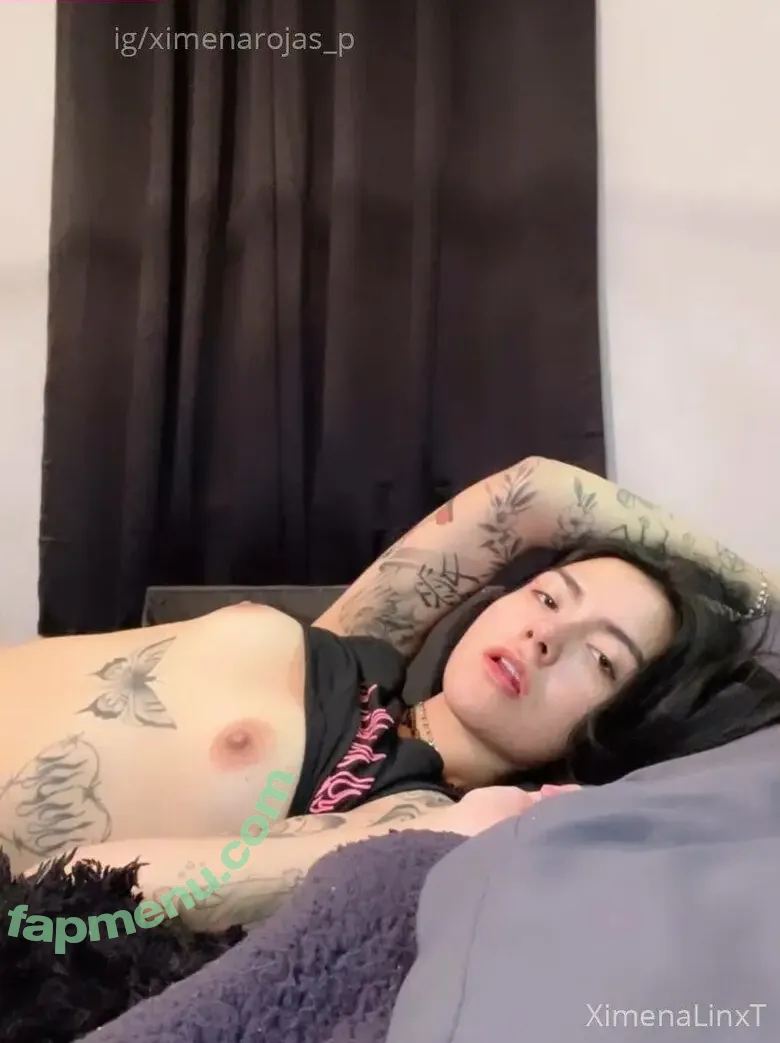 ximena_rojasp nude photo #0005 (ximena_rojasp)