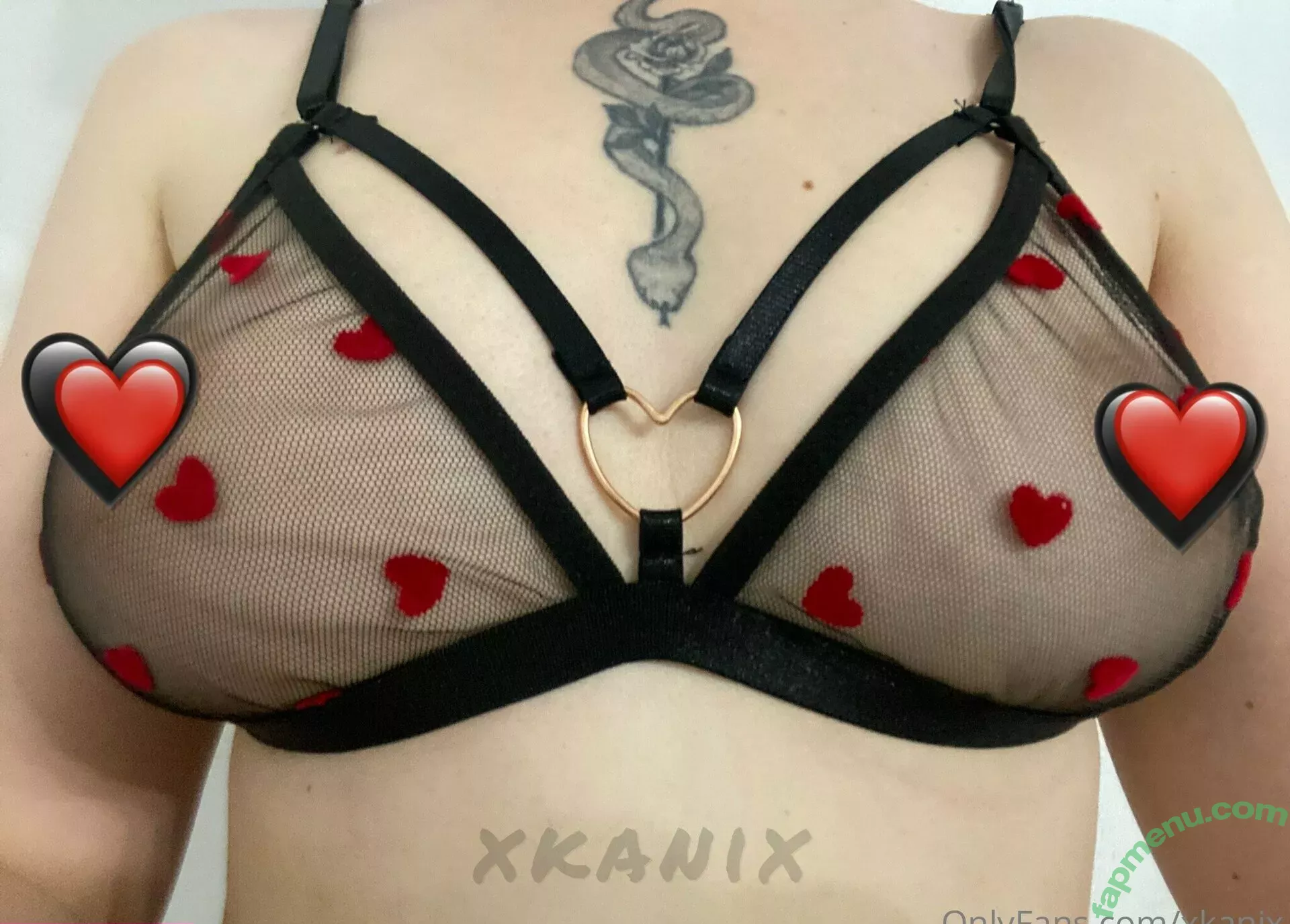 xkanix nude photo #0030 (xkanix)