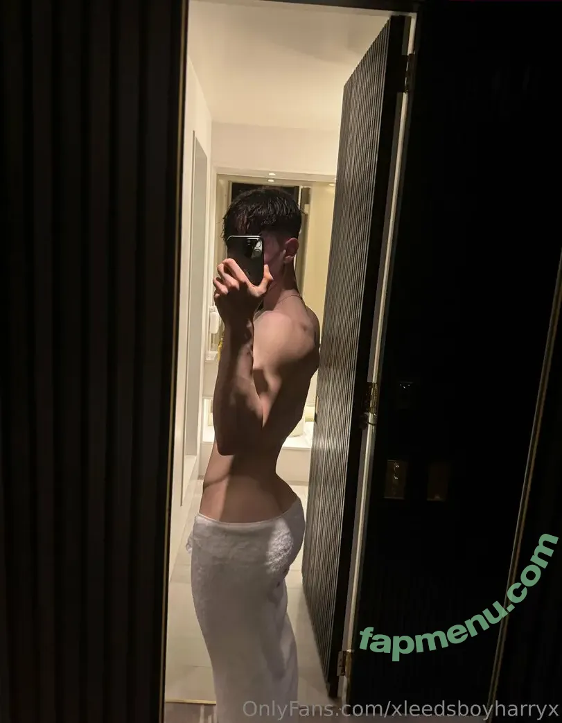 xleedsboyharryx nude photo #0002 (ldsbyyy)