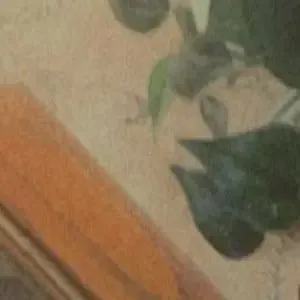 xxangelxx3 / DaBrattyAngel / go.away.you.l0sers / swaggyhotdawg nude photo #0051