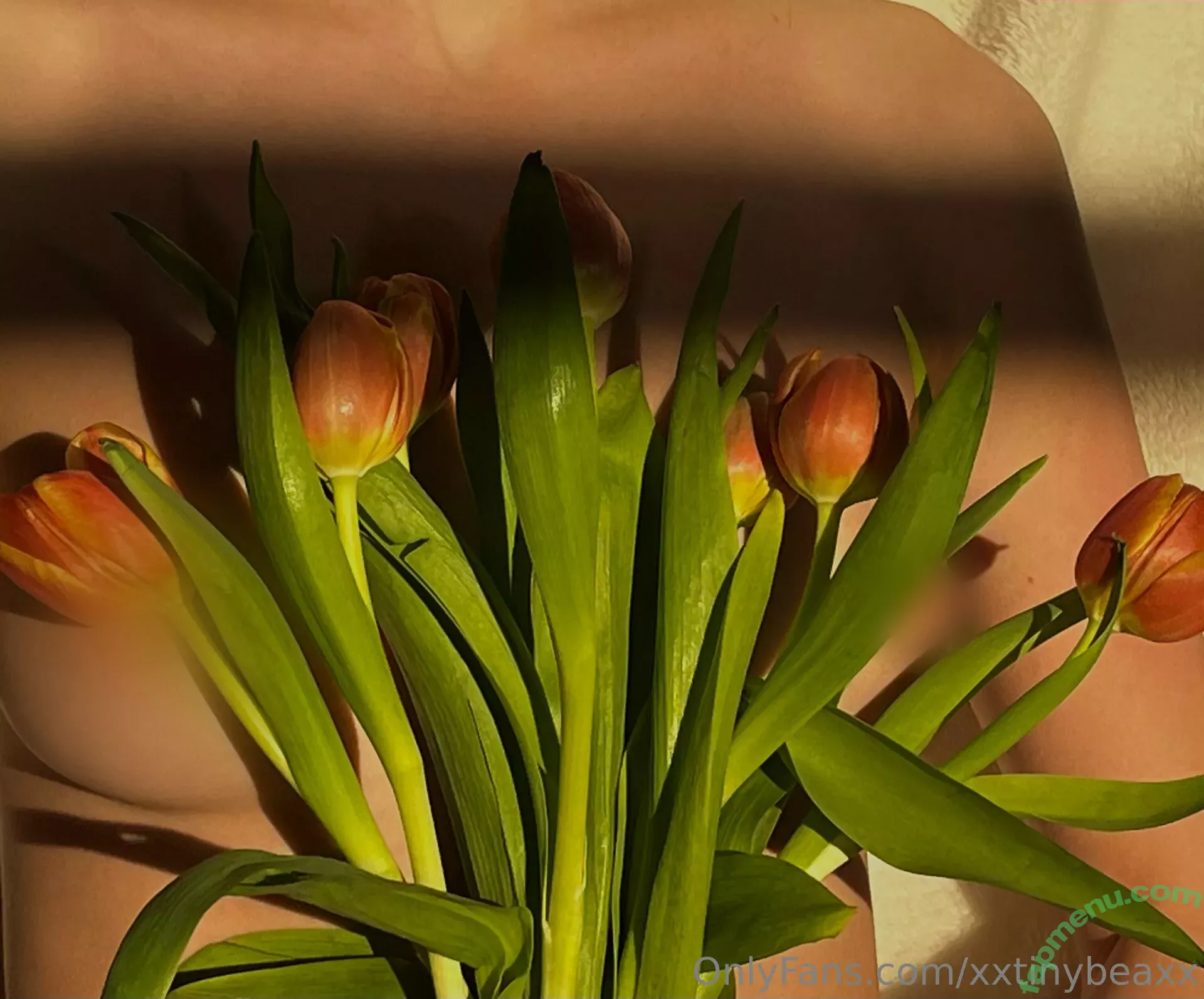 xxtinybeaxx nude photo #0024 (xxtinybeanxx)