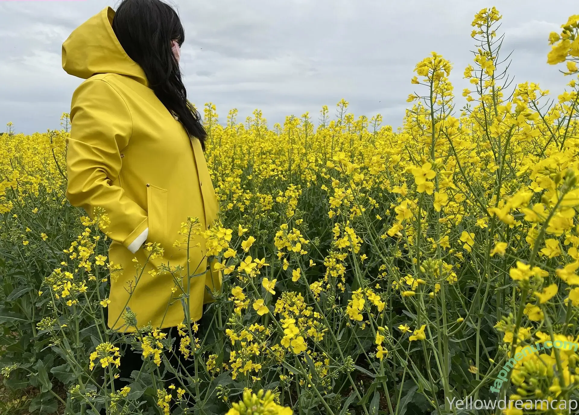 yellowdreamcap nude photo #0019 (yellowdreamcap__)