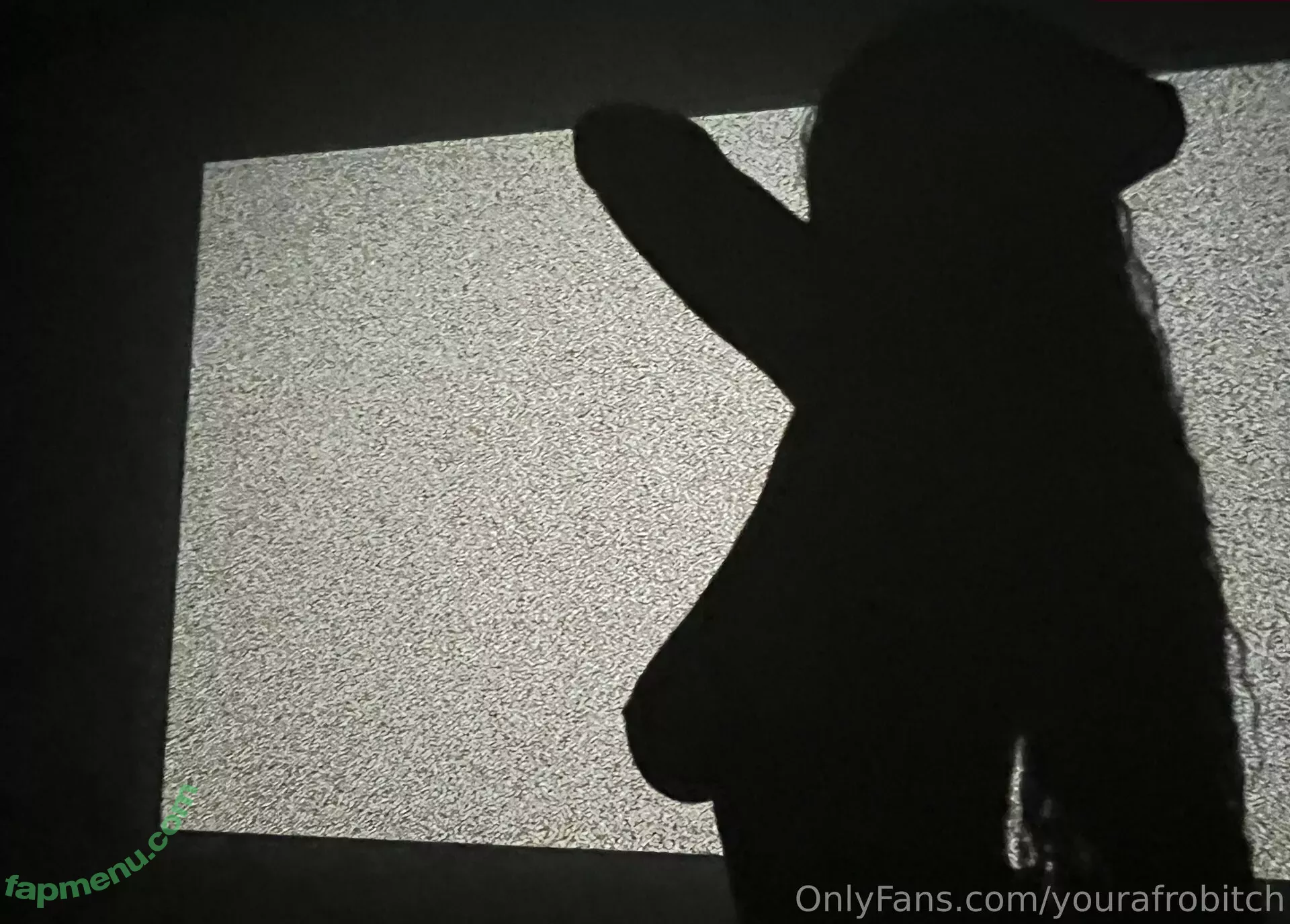 YourAfroBitch nude photo #0117 (Meleessa)