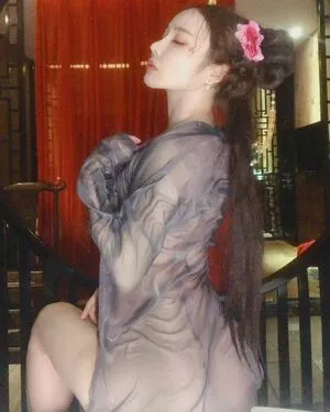 Yuan Herong / yuanherong.1229 nude photo #2389