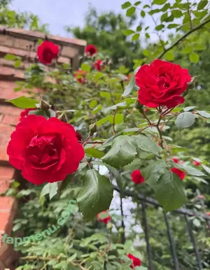 yumi_yumi_chan / yummy_yumi_chan nude photo #0034