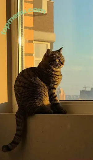 yumi_yumi_chan / yummy_yumi_chan nude photo #0038