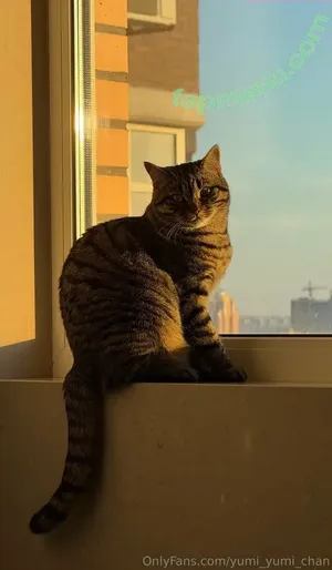 yumi_yumi_chan / yummy_yumi_chan nude photo #0040