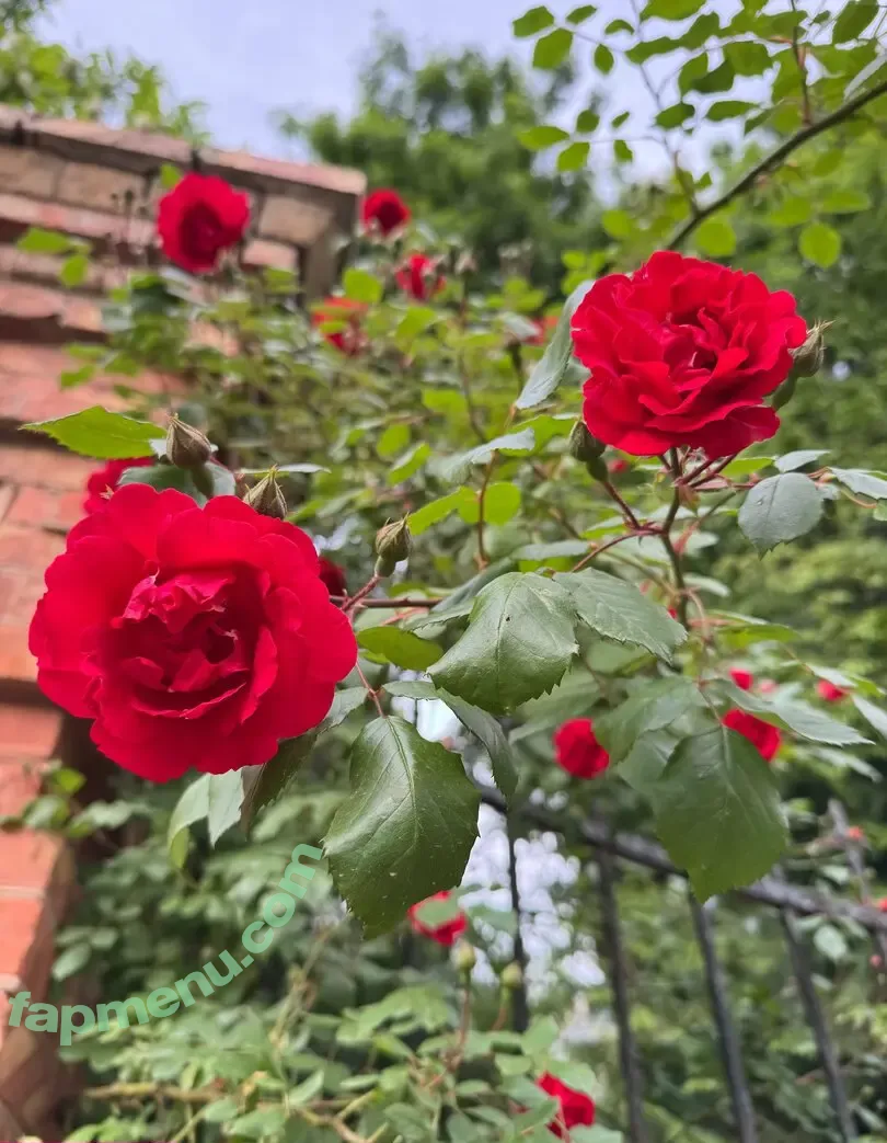 yumi_yumi_chan nude photo #0034 (yummy_yumi_chan)