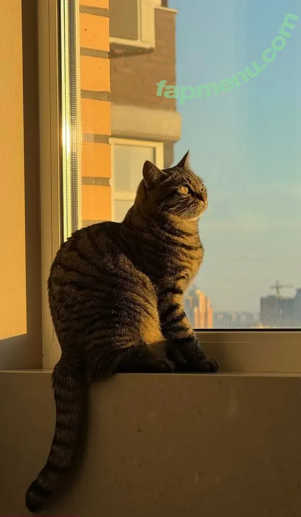 yumi_yumi_chan nude photo #0039 (yummy_yumi_chan)