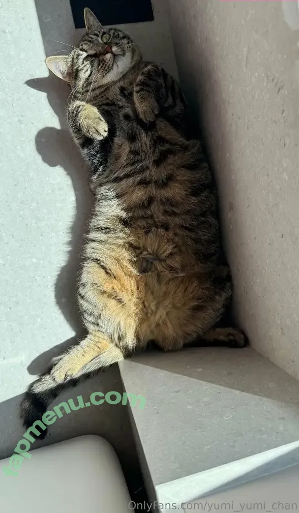 yumi_yumi_chan nude photo #0059 (yummy_yumi_chan)