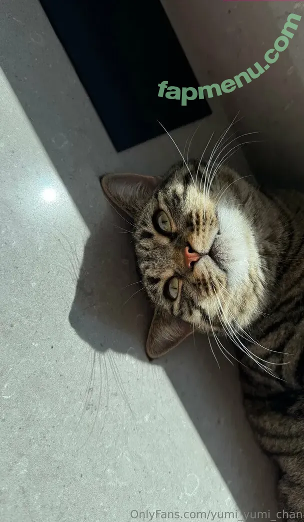 yumi_yumi_chan nude photo #0060 (yummy_yumi_chan)