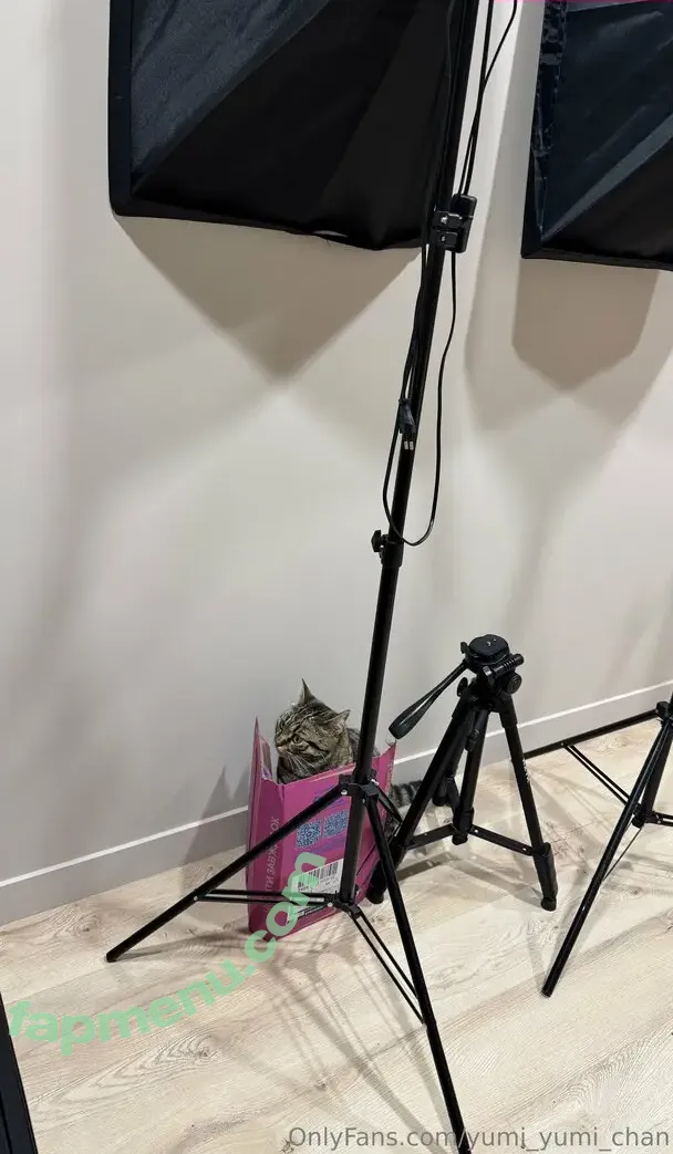 yumi_yumi_chan nude photo #0064 (yummy_yumi_chan)