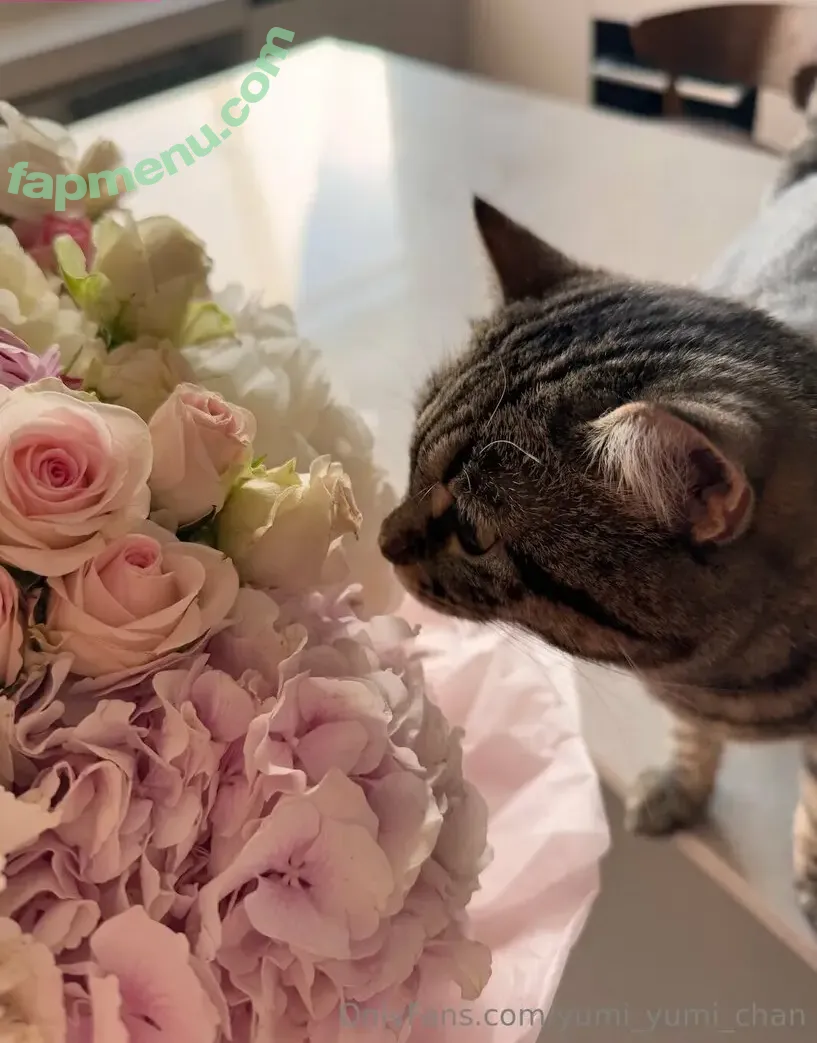 yumi_yumi_chan nude photo #0074 (yummy_yumi_chan)