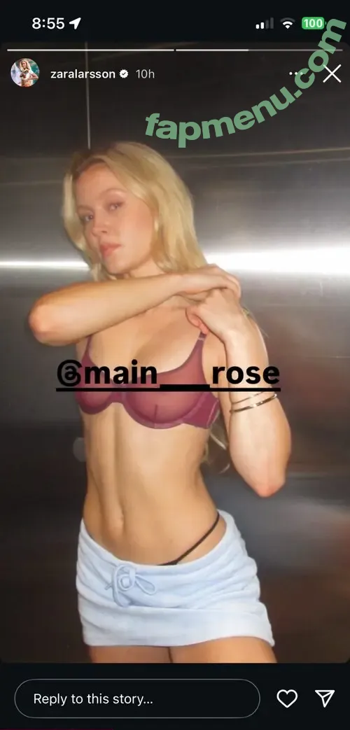 Zara Larsson nude photo #1715 (zaralarsson)