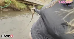 Zarahchan / zarah / zarahtwitch nude photo #0017